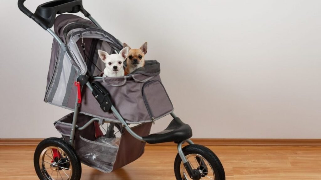 Carritos para Perros Pequeños