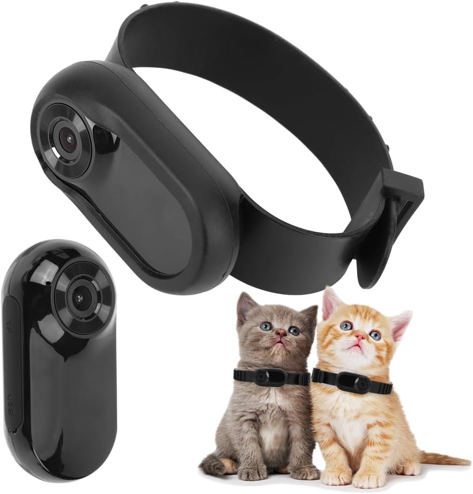 Características clave al elegir un collar de cámara para gatos
